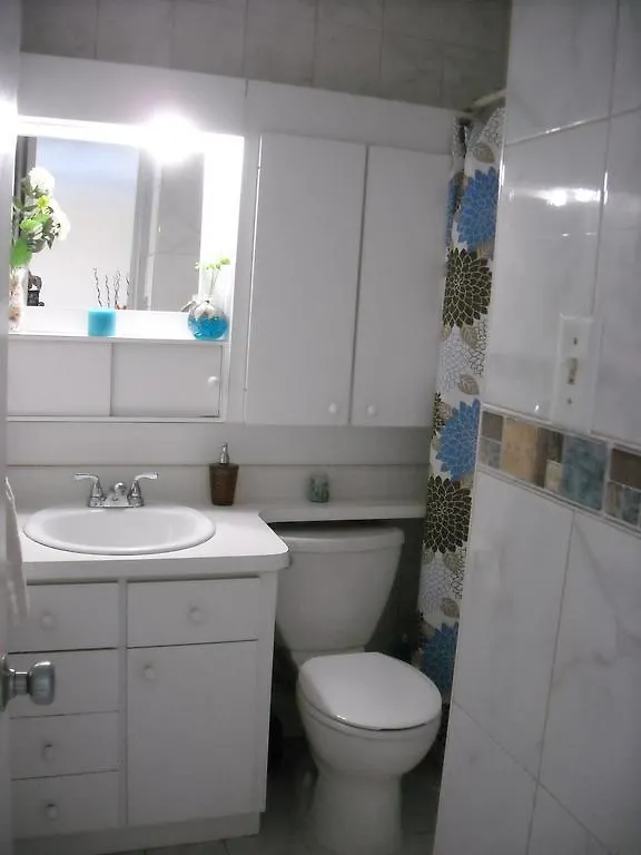 Ocean Front Apartment Luquillo